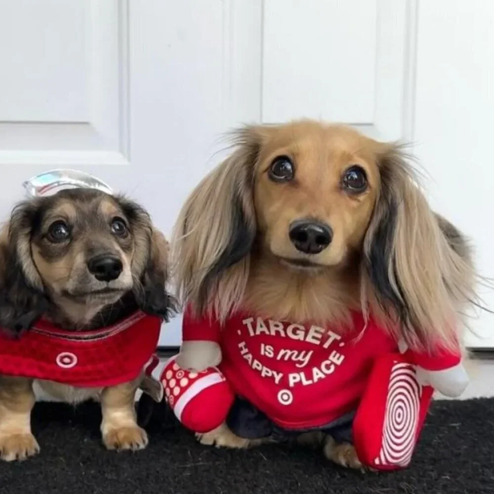Adult Target Shopping Basket Halloween Costume + pet costume